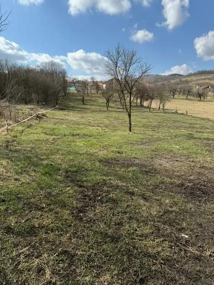 Teren de vanzare Sat Corusu, comuna Baciu 3484mp - 15
