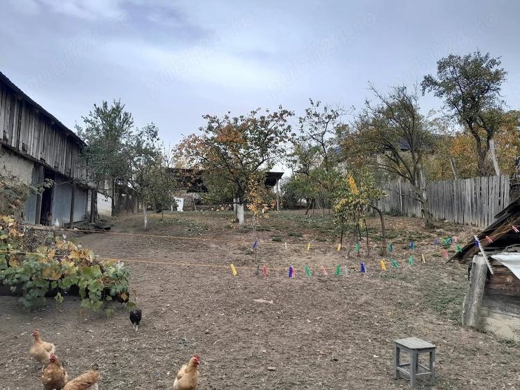 Casă cu 6 camere cu Teren 5000 Mp în Gârbovăț
