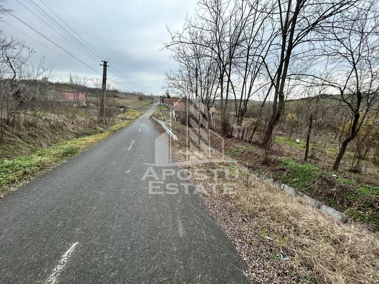 Teren Construcții intravilan de 3920 mp, în Herneacova