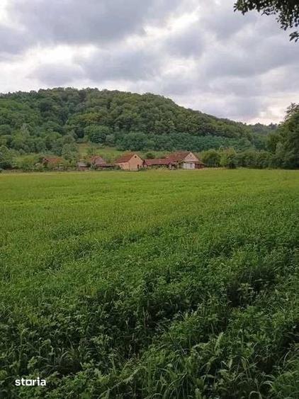 Casă cu 4 camere cu Teren 220 Mp în Petriș