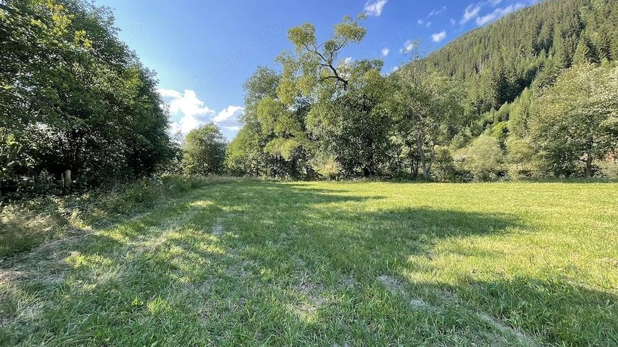 Teren de 5500 mp, în Ciocănești