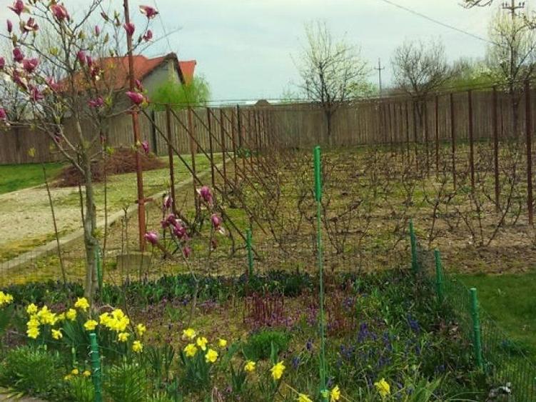 Casă individuală cu 5 camere cu Canalizare în Ciolpani