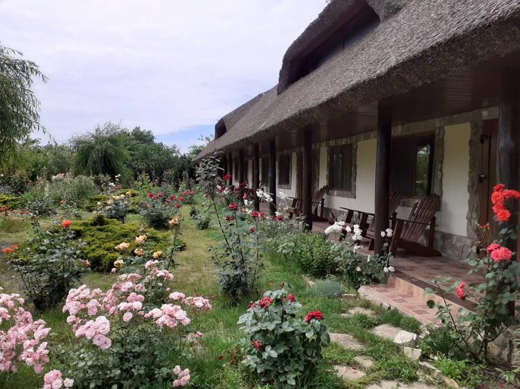 Casă cu 16 camere cu Teren 2100 Mp în Murighiol