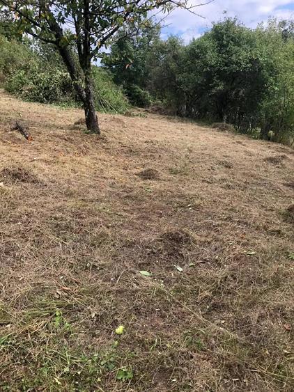 Teren în Geoagiu-Băi