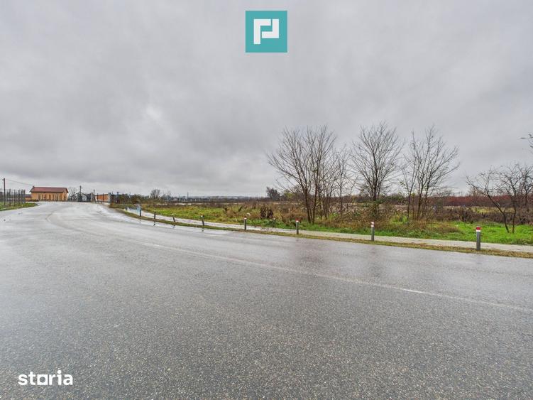 Teren de 4131 mp, în Pleșcuța