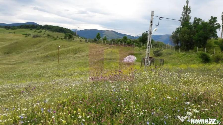Teren de 9037 mp, în Plaiul Tălii