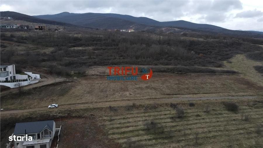 Spațiu comercial, în Cetate