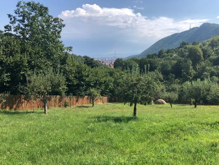 Teren Construcții intravilan de 4193 mp, în Schei