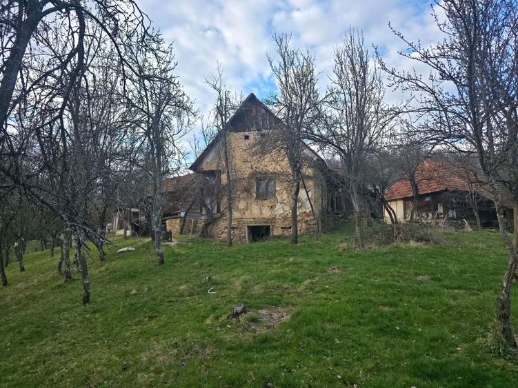 Casă cu 2 camere în Hălmagiu