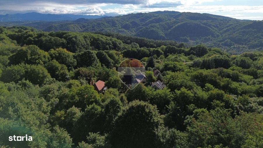 Casa in mijlocul naturii in orasul Campulung - 2