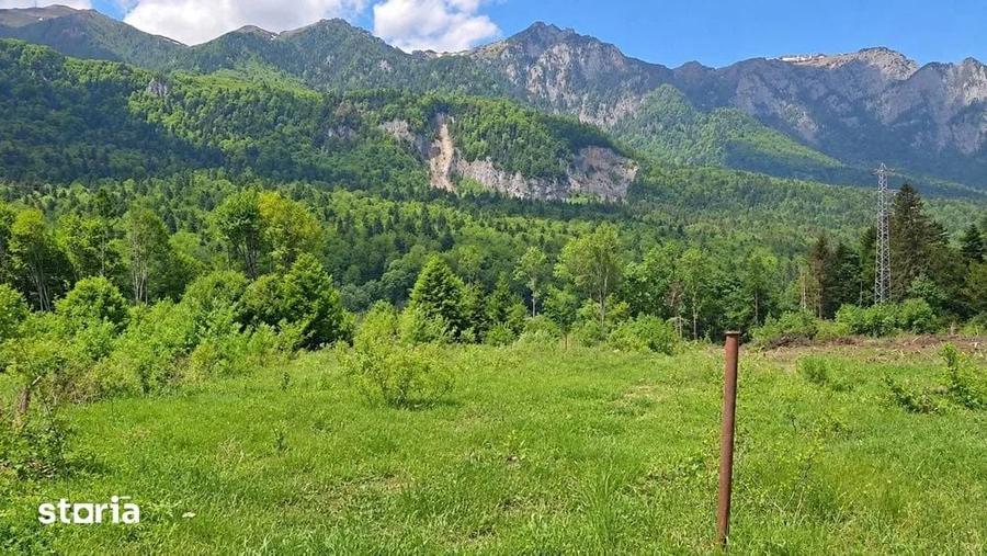 Teren de 1000 mp, în Cumpătu