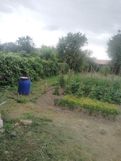 Casă cu 3 camere în Vânători