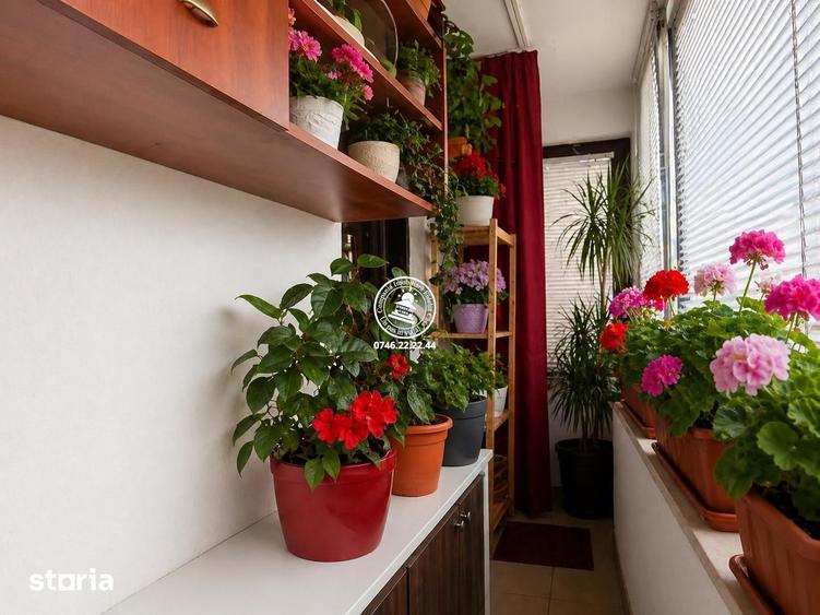 Apartament 2 camere decomandat Valea Lupului - 3