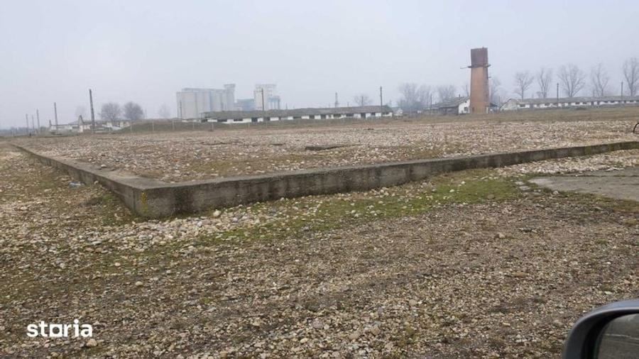 Teren de 15000 mp, în Tinca