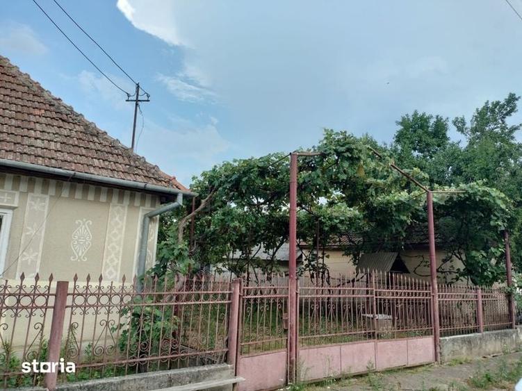 Teren de vanzare in Livada, Satu Mare - 3