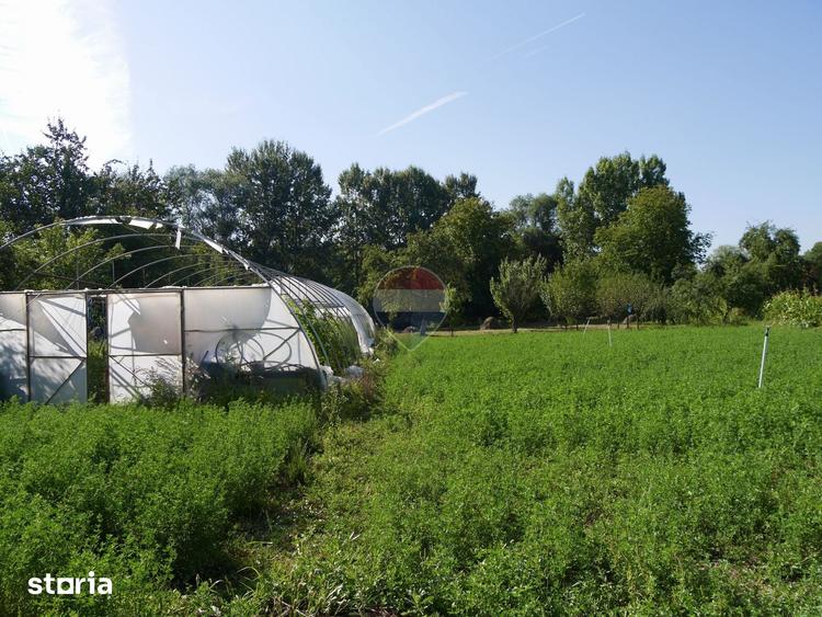 Casă cu 2 camere cu Teren 3003 Mp în Vințu de Jos