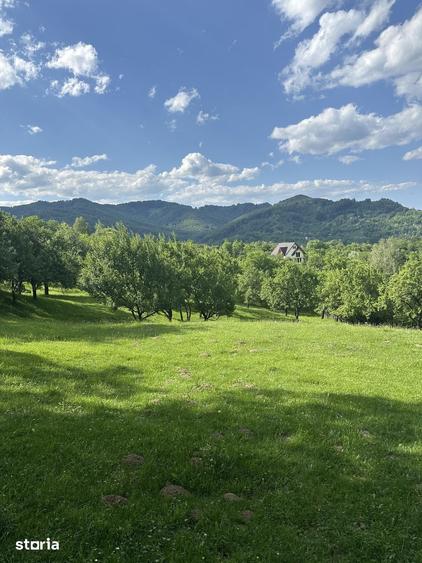 Teren de 10000 mp, în Șotrile