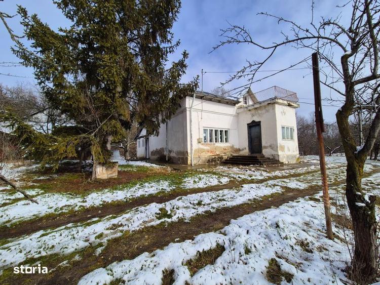 Teren de 5950 mp, în Scorțeni