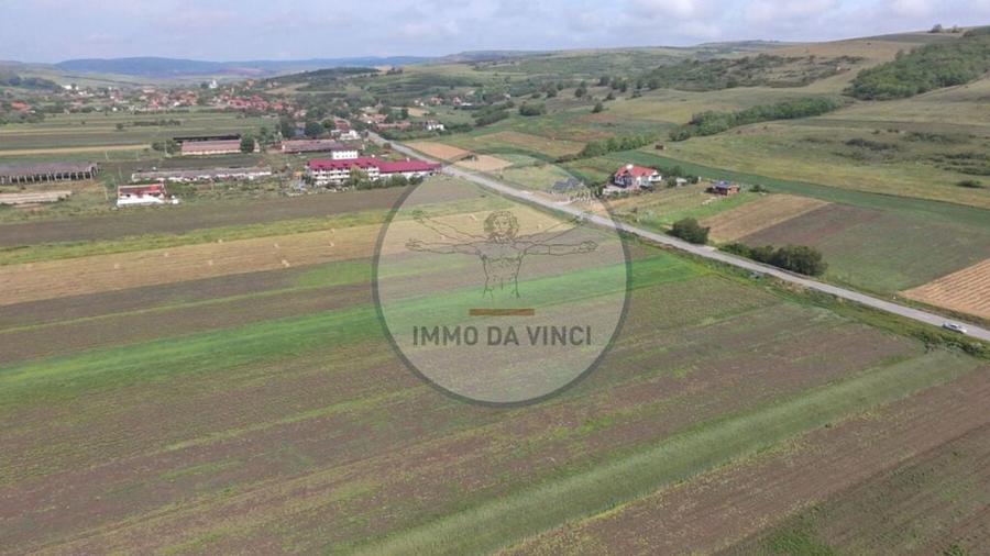 Teren de 10670 mp, în Borșa