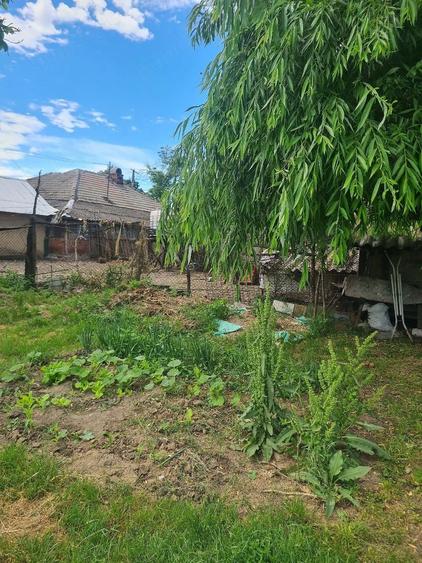 Casă cu 6 camere cu Teren 2 Mp în Parepa-Rușani