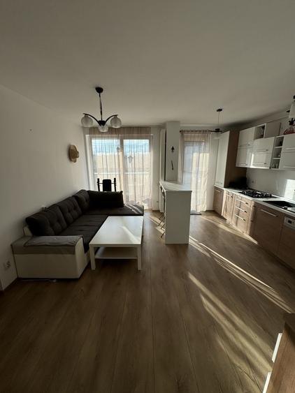 Apartament cu 2 camere decomandat în Dosu Bricii