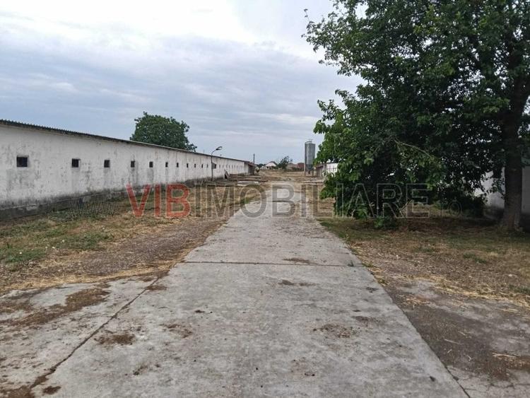 Spațiu comercial, de 6,300 mp, în Salonta