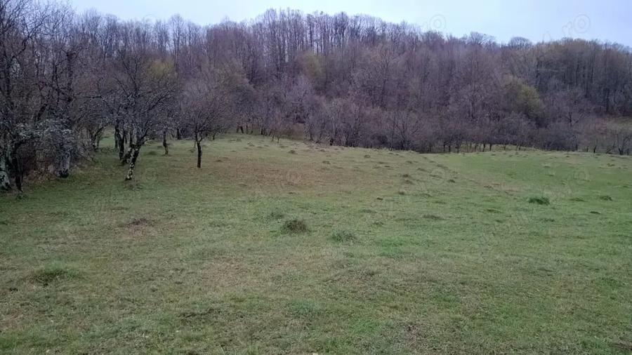 Teren în Valea