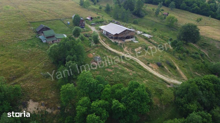 Teren de 55422 mp, în Bughea de Jos
