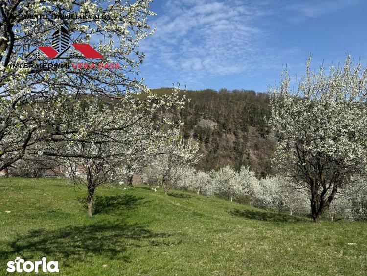 Teren de 13698 mp, în Vințu de Jos