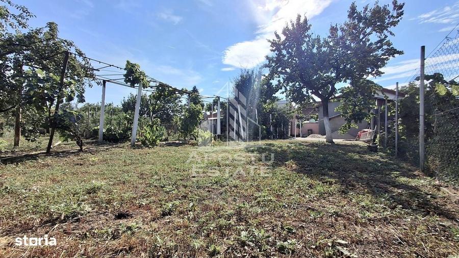 Casă cu 4 camere cu Teren 360 Mp în Micălaca