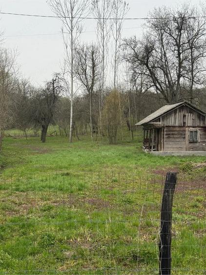 Teren de 1500 mp, în Păușești