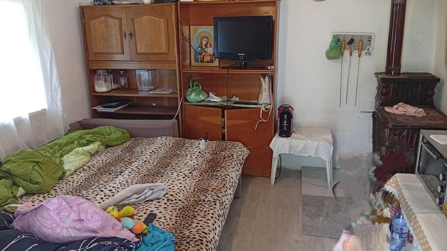Casă individuală cu 2 camere cu Teren 10800 Mp în Golești