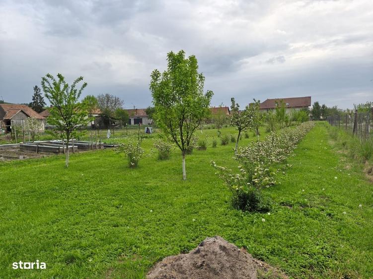 Casă cu 3 camere în Ernei