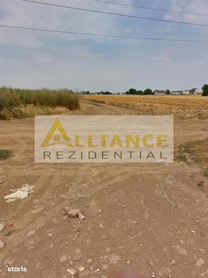 Teren 330 mpla 250-300 m de alte case.Zona in dezvoltare. - 6