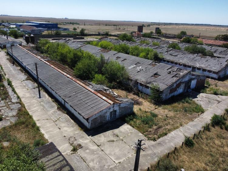 Spațiu industrial, de 7,950 mp, în Orțișoara