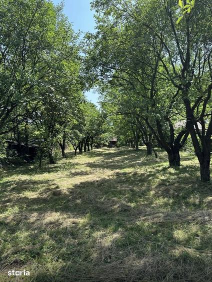 Teren de 1915 mp, în Sadu