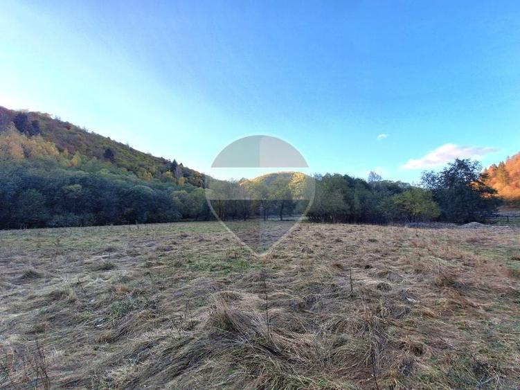 Teren agricol extravilan de 3981 mp, în Plaiul Foii