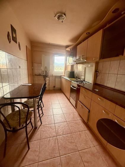Apartament cu 3 camere, garaj ,cu vedere panoramica la Parcul Cetatii! - 6