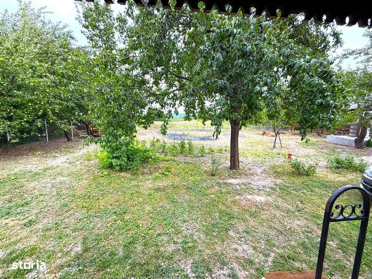 Casă în Poiana cu Cetate