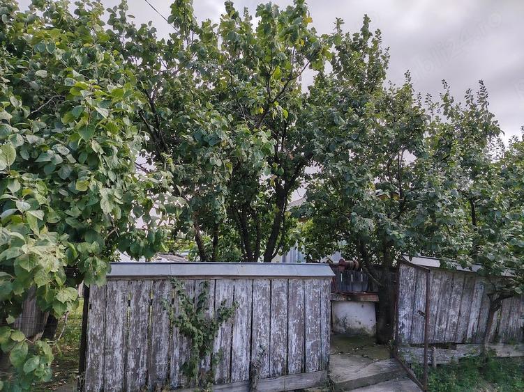Casă cu 3 camere cu Teren 3600 Mp în Lunca