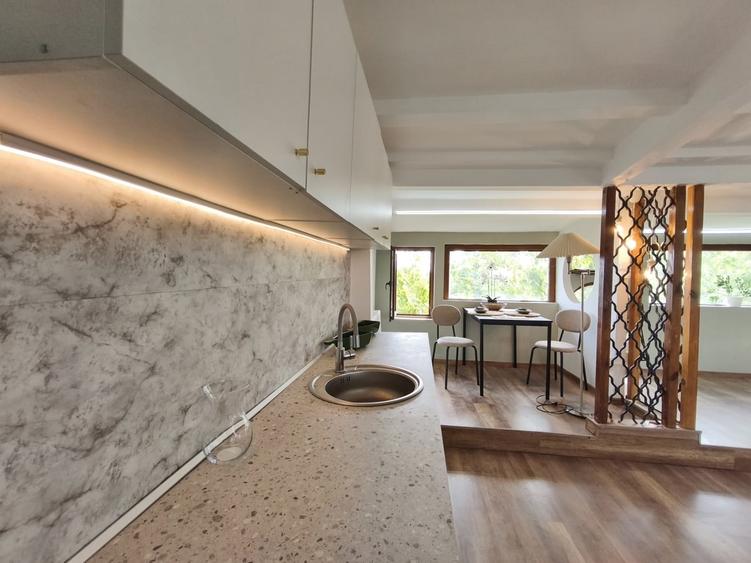Gradina Zoo, apartamentul la mansarda - 13