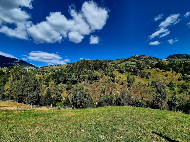 Teren Construcții intravilan de 2969 mp, în Măgura