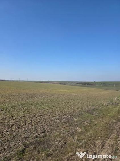 Teren de 7500 mp, în Nord