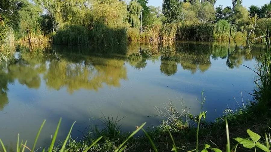 Teren de 2 mp, în Central