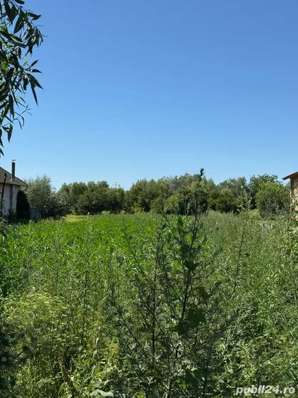 Teren de 2000 mp, în Hălchiu