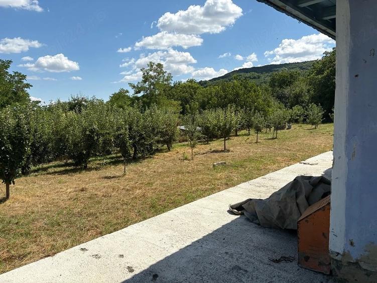 Teren de 1400 mp, în Răducăneni