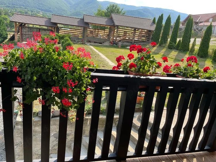 Casă cu Teren 2000 Mp în Central