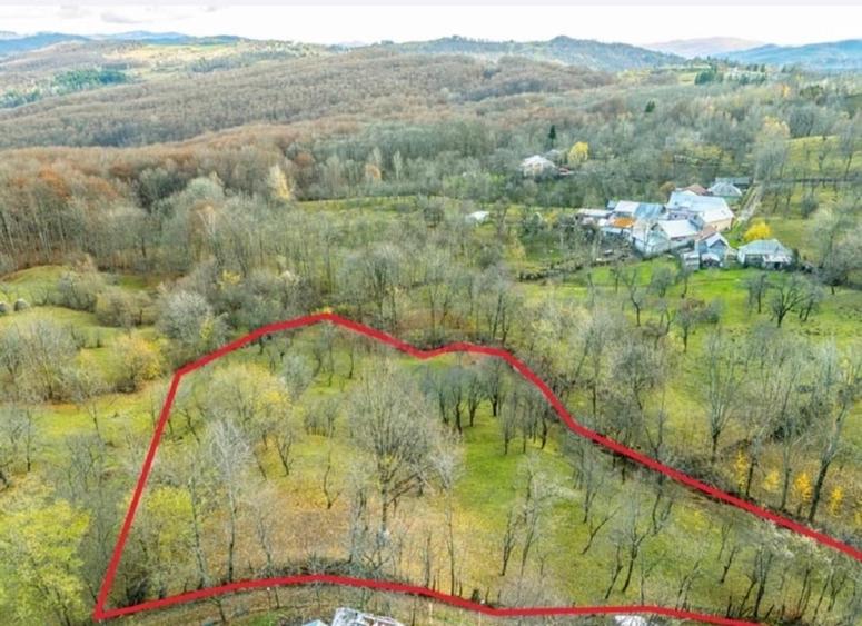 Teren intravilan de 4384 mp, în Talea