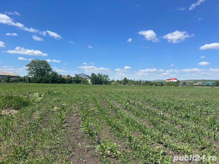 Teren de 1346 mp, în Girov
