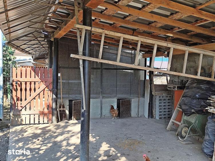 Casa la tara in Sacadat, Bihor, teren 2826 mp, acces auto - Vanzare - 14